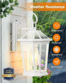 VIANIS Outdoor Porch Lights - Dusk to Dawn Exterior Wall Lights, 100% Anti-Rust Aluminum Waterproof, White Sconce Lanterns for Garage by GreenHaven Gardens