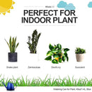 WhaleLife Indoor Watering Can for House Bonsai Plants (1.4L, Blue) by GreenHaven Gardens