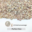 10LB Succulent and Cactus Gravel Pebbles, 1/5 Inch Natural Decorative Polished Stones, River Rocks for Plants, Vases, Aquariums, Terrarium and Outdoor Gardening,Peach by CozyNest Decor