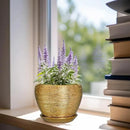 Indoor Plant Pot 6 Inch - Ceramic Pot for Plants Outdoor Planter with Drainage Hole and Saucer Round Decorative Planter Modern Flower Pot for Home Decor Gold by GreenHaven Gardens