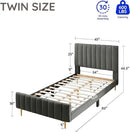 Livinia Twin Size Elton Velvet Platform Bed, Upholstered Bed Frame with Vertical Channel Tufted Headboard Footboard, Strong Wood Slats, No Box Spring Needed, Gray (Twin) by CozyNest Decor