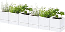 4 Inch Herb Planter Pot, Plastic Planter with Drainage Holes and Saucer, Modern Decorative Gardening Pot for Indoor Plants, Flowers, Herbs, Succulents, White, Set of 6, 76-Y-A-6 by GreenHaven Gardens
