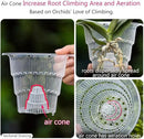 4 inch Clear Orchid Pots with Holes Match White Plastic Orchid Planter,Set of 2,Double Layer Plant Nursery Pots Own Scientific Controlling Roots Technology by GreenHaven Gardens
