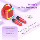 Mini Karaoke Machine for Kids Adults, Portable Karaoke Microphone Singing Speaker Bluetooth Karaoke Player with 2 Wireless Mic, Birthday Gifts for Girls Boys 4-12 Year Old, Family Home Party(Red) by TinyTreasures Baby Boutique