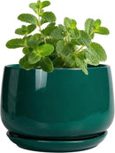 G EPGardening 4 inch Plant Pots - Small Ceramic Planter with Drainage Hole & Tray, Succulent Pots Indoor Outdoor, Round Modern Planter, Decorative Flower Pot, Desk Decor, Gifts for Plant Lover, Green by GreenHaven Gardens