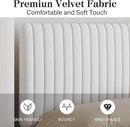 Queen Size Bed Frame with Headboard, Velvet Upholstered Platform Bed with Vertical Channel Tufted Design, No Box Spring Required, Easy Assembly, White by CozyNest Decor