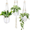 Small Hanging Planters Self Watering 5 Inch, 3 Set Hanging Plant Pot for Indoor Outdoor Plants, Hanging Flower Pots with Drainage Hole & 2 Kinds of Plant Hangers for Garden Home Decor by GreenHaven Gardens