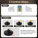 Cordless Spotlight Battery Powered, Indoor Plant Spot Light, Rechargeable Picture Lights with Remote, LED Accent Lighting, Dimmable Display Uplight for Tree Dartboard Decor Painting Art Photo by CozyNest Decor