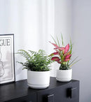 Ton Sin Plant Pots, 4.1+5.1+6.5 inch, Set of 3, Ceramic Planters with Drainage Hole and Saucer, Indoor Flower Pot with Hole Mesh Pad, Gifts for Mom（Matte Black） by GreenHaven Gardens