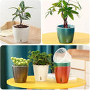 Self-Watering Pots for Indoor Plants, 12-Pack 5'' Self Watering Planter with Drainage Holes, Small African Violet Pots with Water Indicator, Clear Wick Pot, White by CozyNest Decor