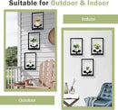 Picture Frame Plant Holder, Window Planter Hanger Shelves,Wall Mount Plants shelf Indoor Outdoor, Metal Hanging Planters Stand Decor,Modern Floating Ornament Rack Art for Home & Garden (Black 3pc) by GreenHaven Gardens