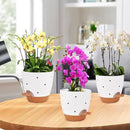 6 Inch Orchid Pots with Holes, 2 Pack Self Watering Planters for Orchids Plastic Orchid Pot Plant Flower Pots for Orchids Indoor Outdoor (White with Brown) by GreenHaven Gardens