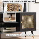 JYED Mid Century Modern TV Stand and Console for TVs Up to 75" - Black Entertainment Center, 2 Gold Metal Mesh Doors & MDF Wood Grain, 15.8" D x 66" W x 23.5" H by CozyNest Decor