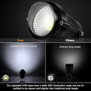 LemonBest LED Landscape Up Down Light 5W White LED Decorative Spotlight Lamp 110V with Plug for Indoor Outdoor Yard Step Wall Lighting (Cool White) (Include Spike) by GreenHaven Gardens