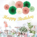 Sage-Green Pink Birthday Party-Decorations Paper-Flowers - 14pcs Happy Banner Spring Lanterns Tissue Pom Poms,Boho Streamers Garland Fans,Neutral Rustic Garden Office Hanging Supplies Decor Hugfond by CozyNest Decor