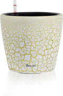 Dexceder 9x8 Inches Self Watering Planter Indoor Outdoor, Inner Pot Design, Thickened Table Flower Plant Pot with Water Level Indicator (White Gold Crackle) by GreenHaven Gardens