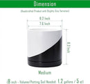 D'vine Dev 8.2 Inch Ceramic Planter Pot with Drainage Hole and Saucer, Indoor Cylinder Round Planter Pot, Oblique Monochrome Black and White, 94-O-D-K by GreenHaven Gardens