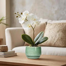 G EPGardening Ceramic Plant Pot - 4 inch Plant Pots with Drainage Hole & Saucer, Small Pots for Plant Indoor Outdoor, Modern Round Planter, Decorative Flower Pot, Room Decor, House Warming Gift, Green by GreenHaven Gardens