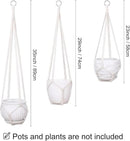 YIBOT 3 Pack Macrame Plant Hanger Indoor Hanging Planter Basket with 3 Hooks, 35"/29"/23" Crochet Plant Holder Stand No Tassels for Indoor Outdoor Boho Home Decor, Ivory (POTS NOT Included) by GreenHaven Gardens