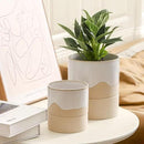 Nihow Self Watering Plant Pot for Indoor Plants: 4.5+6 Inch Ceramic Planter with Drainage Hole & Water Storage Plus - Cylinder Flower Pot with Wick for Herbs -White & Nature by CozyNest Decor