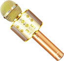 Microphone for Kids Voice Changer Karaoke Microphones Boy Girl Gifts Age 3-12 Portable Child Microphone Karaoke Kid Wireless Bluetooth Microphones Birthday by TinyTreasures Baby Boutique