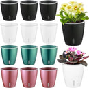 Self Watering Pots for Indoor Plants, 12-Pack 5'' Self Watering Planter with Drainage Holes, Small African Violet Pots with Water Indicator, Clear Wick Pot, White/Black/Blue/Rose Gold by CozyNest Decor