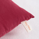 NTBAY Tiny Pillows, Down Alternative 7"x11" Microfiber Mini Pillow for Travel, Pets, Soft Machine Washable Small Pillows for Neck, Wrist, Lumbar and Knee, Red by TinyTreasures Baby Boutique