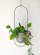Boho Green Metal Plant Hanger,Metal Wall and Ceiling Hanging Planter, Modern Planter, Mid Century Flower Pot Plant Holder, Minimalist Planter for Indoor Outdoor Home Decor by GreenHaven Gardens