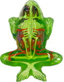 Dissect-It Kit for Kids, Simulated Synthetic Lab Dissection Toy, Frog Super Lab STEM Toys for Animal Science, Biology, and Anatomy by TinyTreasures Baby Boutique