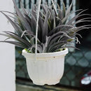 16Pcs Artificial Grass Fake Plants 17.3in Outdoor Plants UV Resistant Faux Greenery Stems Fake Grass for Home Window Garden Office Patio Pathway Front Porch Décor Green & Black by GreenHaven Gardens