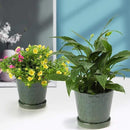 Ceramic Plant Pots,4+5+6 Inch Pots for Indoor Plants,Planters with Drainage Holes and Ceramic Tray, Indoor Flower Pots Gardening Home Desktop Office Windowsill Decoration Gift,Set of 3 (Patina) by GreenHaven Gardens