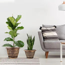 14 Inch Large Planter Pot for Plants Indoor Outdoor, 4 Pack Plastic Flower Pots with Drainage Hole & Tray, Modern Decorative Garden Pot with Saucer, Plant Container for House by CozyNest Decor