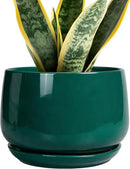 G EPGardening Ceramic Planter for Indoor Plants - 7 Inch Plant Pot, Round Planter with Drainage and Saucer, Round Flower Pots for Outdoor, Modern Desk Decor, Gift for Women Men, Green by GreenHaven Gardens