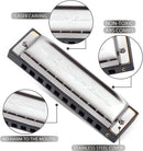 SWAN Blues Harmonica C Key for Kids Adults, 10 Hole Diatonic Harmonica Key of C, Metal Blues Harp for Beginners Students, Mouth Organ in Case, Silver by TinyTreasures Baby Boutique