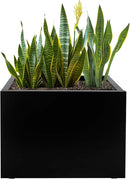 Galvanized Steel Rectangular Planter, 16"x 12"x 12" Small Planters for Outdoor Plants, Black Outdoor Planter with Drainage Holes by GreenHaven Gardens