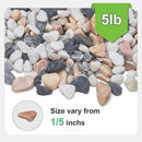 5 lbs Small Rocks for Plants, 1/5 Inch Pebbles for Indoor Plants, Natural Decorative Pea Gravel for Aquarium, Fish Tank, Terrarium, Succulents, Bamboo Plants, Vases, Cactus, Crafts by CozyNest Decor