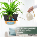 ZMTECH 12 Inch Hanging Planters for Indoor Plants, 2 Pack Self Watering Hanging Planter with Visual Reservoir, Hanging Pots for Plants Outdoor with Drainage Hole and Plant Hanger(Gray) by GreenHaven Gardens