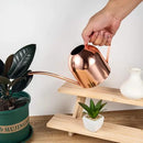 IMEEA Indoor Watering Can for House Plants 33oz/1L Stainless Steel Watering Can with Long Spout (Rose Gold) by GreenHaven Gardens