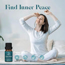 ASAKUKI Essential Oil Blends, Essential Oils for Diffusers for Home, Well-Being Kit- Calm Mind, Sweet Dreams, Happy, Relax, Air Freshening, Immunity for Aromatherapy, Humidifiers, Massage, 6x10ml by CozyNest Decor