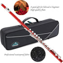 EastRock Closed Hole Flutes C 16 Key for Beginner, Kids, Student -Nickel Flute with Case Stand and Cleaning kit (Red) by TinyTreasures Baby Boutique