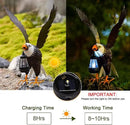 Nacome Metal Bald Eagle Large Outdoor Statues,Yard Decorations Outdoor Garden Sculptures & Statues，Garden Gifts by GreenHaven Gardens