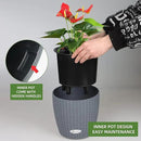 Dexceder 9x8 Inches Rattan Self Watering Planter Indoor Outdoor, Inner Pot Design, Thickened Table Flower Plant Pot with Water Level Indicator (Deep Gray) by GreenHaven Gardens