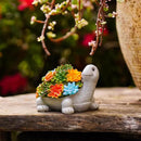 Outdoor Turtle Key Hider Statue - Cute Succulent Turtle Hide a Key Outdoor Decorative - Small Gift Box for Women, Home Decor & Turtle Gifts (Turtle) by GreenHaven Gardens