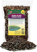 Monstera Dubia Soil Mix - Promotes Healthy Root Growth and Moisture Retention - 2 Quart by GreenHaven Gardens