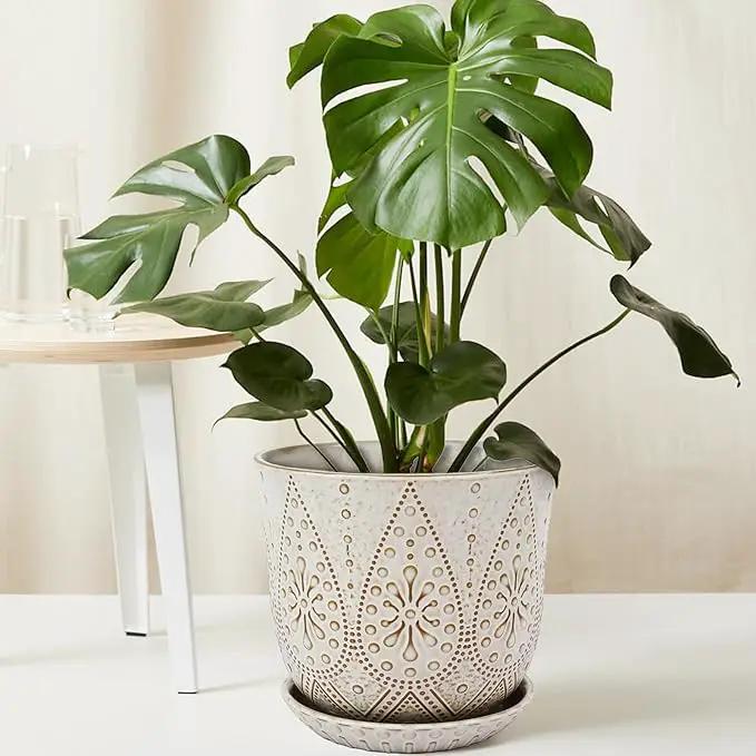 Gepege 10 Inch Plant Pot, Creamy White Ceramic Planter with Drainage Holes and Saucers for Plants Indoor and Outdoor Flower Pot, photo 6 of 7