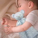 Pro Goleem Teddy Bear Lovey Baby Security Blanket for Boys and Girls Unisex Soft Lovie Baby Gifts for Newborn Toddler Snuggle Toy Stuffed Animal Blue 16 Inch by TinyTreasures Baby Boutique