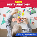 Smartivity Human Body Model for Kids 6-12 Years | Learn Body Organs, Functions with Fun Card Games | Cool Birthday Gift for Boys & Girls | DIY STEM Science Toys for Kids 6,7,8,9,10,11,12 Years I by TinyTreasures Baby Boutique