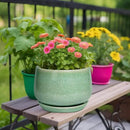 G EPGardening Ceramic Planter - 9 Inch Plant Pot with Drainage Hole and Saucer, Modern Round Planter, Flower Pot for Indoor Outdoor Plants, Garen House Room Decor, Housewarming Gifts, Green by GreenHaven Gardens