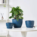 4/5/6 Inches Ceramic Plant Pots with Drainage Holes and Saucers, Round Flower Pots for Indoor Plant, Modern Flower Planters Set of 3 (Blue with Dot-Big Size) by CozyNest Decor