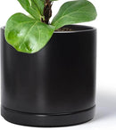 D'vine Dev 14 Inch Ceramic Planter Pot with Drainage Hole and Saucer, Indoor Cylinder Round Planter Pot, Black, 94-O-G-2 by GreenHaven Gardens